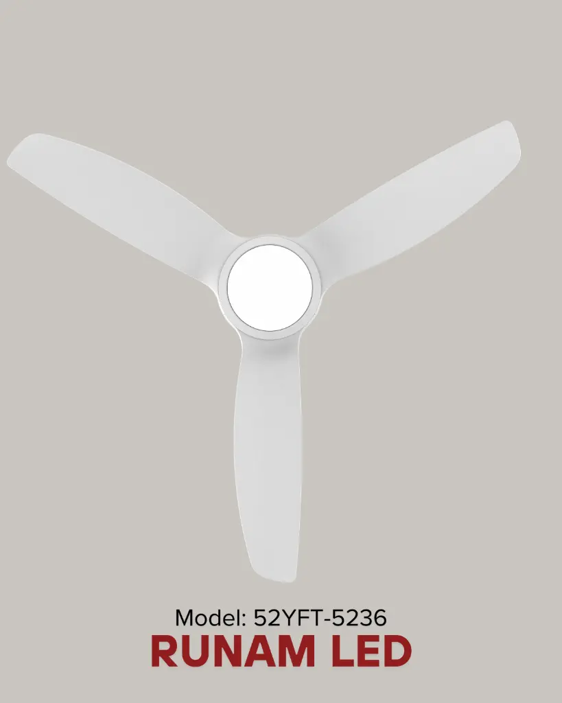 runam_led_52YFT-5236.webp