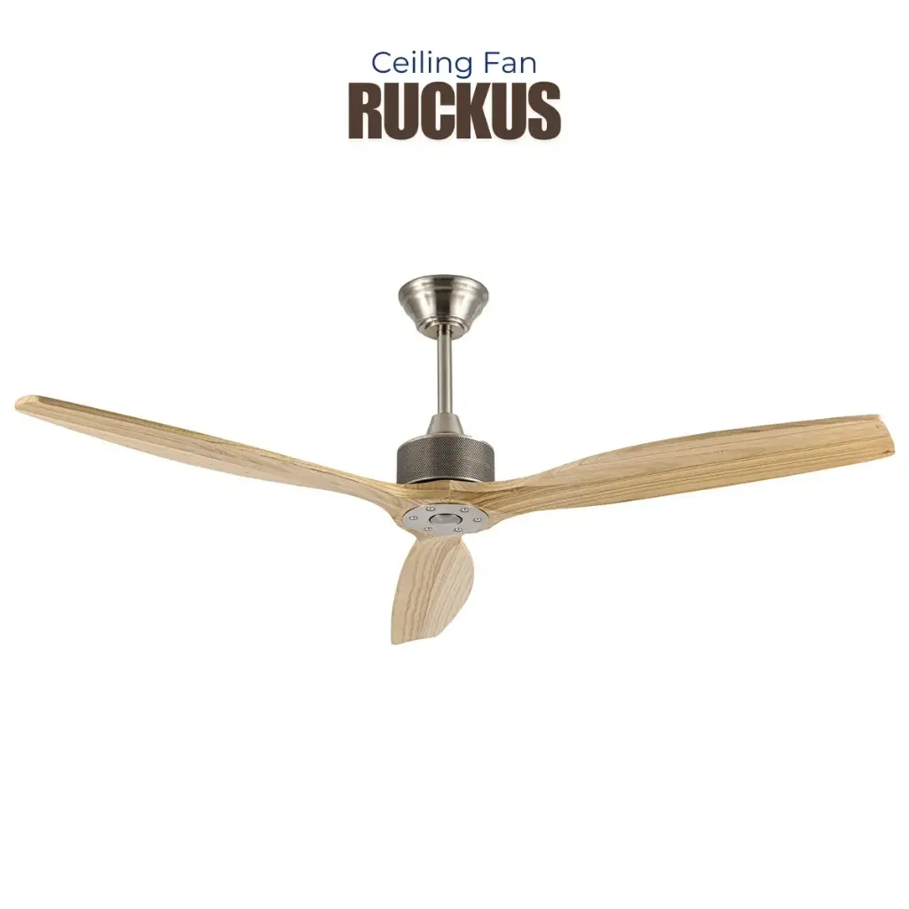 Quạt trần RUCKUS 60 |